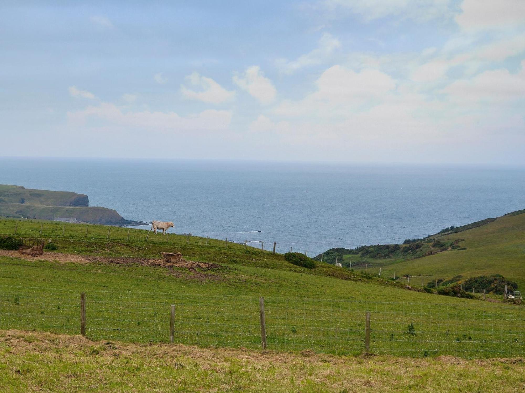 Mains Of Auchmedden Cottage Pennan Exterior photo